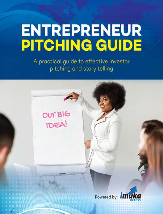 Entrepreneur Pitching Guide
