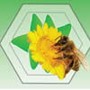 Honeypride logo
